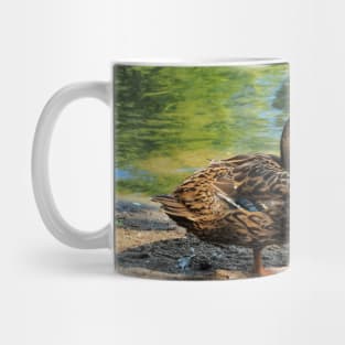 Mallard Ducks On The Beach Mug